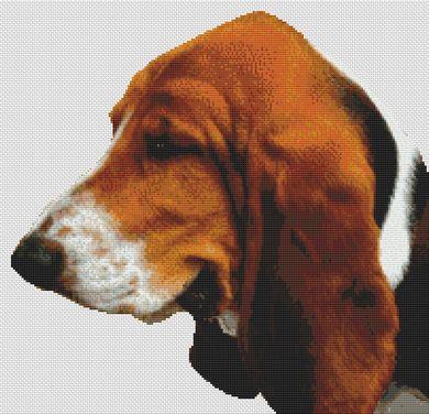 Basset cross sales